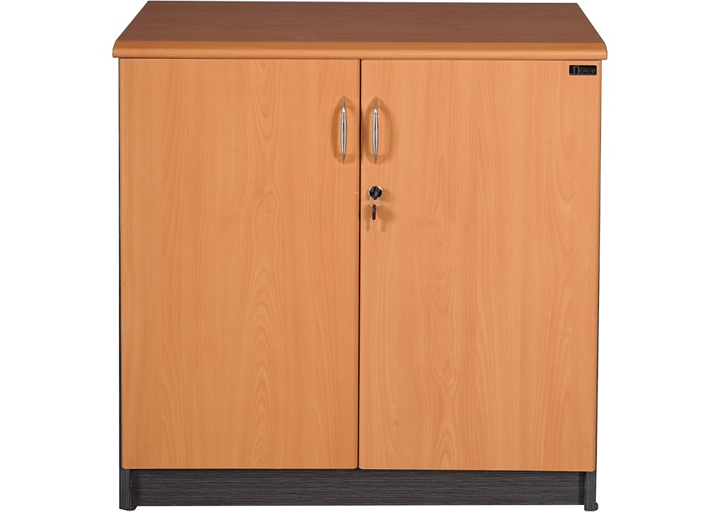 Tủ hồ sơ gỗ NT850D