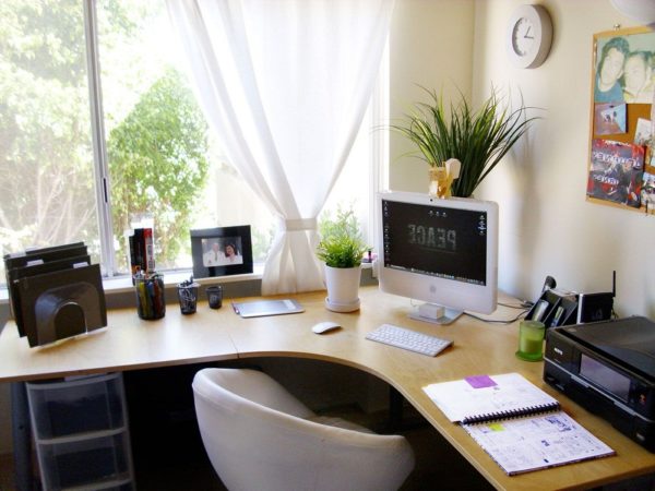 trang trí bàn làm việc bằng cây xanh